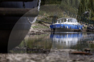 NEWS - Deutschland: Der Rhein bei Niedrigwasser