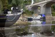 NEWS - Deutschland: Der Rhein bei Niedrigwasser