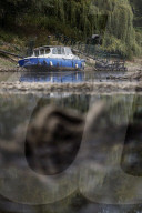 NEWS - Deutschland: Der Rhein bei Niedrigwasser