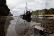 NEWS - Deutschland: Der Rhein bei Niedrigwasser