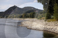 NEWS - Deutschland: Der Rhein bei Niedrigwasser