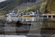 NEWS - Deutschland: Der Rhein bei Niedrigwasser