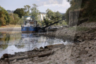 NEWS - Deutschland: Der Rhein bei Niedrigwasser