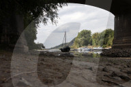 NEWS - Deutschland: Der Rhein bei Niedrigwasser