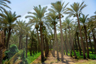 FEATURE - Ägypten: Reiseimpressionen aus dem Land am Nil
