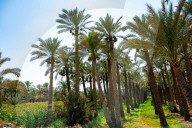 FEATURE - Ägypten: Reiseimpressionen aus dem Land am Nil