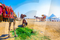 FEATURE - Ägypten: Reiseimpressionen aus dem Land am Nil