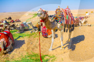 FEATURE - Ägypten: Reiseimpressionen aus dem Land am Nil