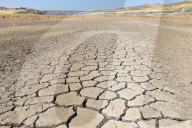 NEWS - Andauernde Hitze: Trockenheit in der spanischen Region Extremadura