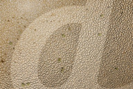 NEWS - Andauernde Hitze: Trockenheit in der spanischen Region Extremadura