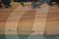 NEWS - Andauernde Hitze: Trockenheit in der spanischen Region Extremadura