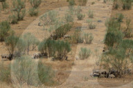 NEWS - Andauernde Hitze: Trockenheit in der spanischen Region Extremadura
