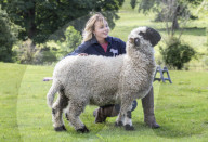 FEATURE - Tiertherapeutische Unterstützung: Krebspatientin Hannah Russell hat die Schafe Izzy und Ida an ihrer Seite