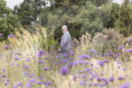 RHS Garden Hyde Hall