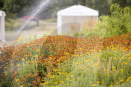 RHS Garden Hyde Hall