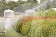 RHS Garden Hyde Hall
