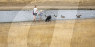 Wimbledon Common by Rushmere Pond, London, Great Britain 19th August 2022