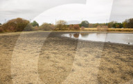 Wimbledon Common by Rushmere Pond, London, Great Britain 19th August 2022