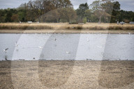 Wimbledon Common by Rushmere Pond, London, Great Britain 19th August 2022