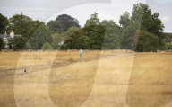 Wimbledon Common by Rushmere Pond, London, Great Britain 19th August 2022