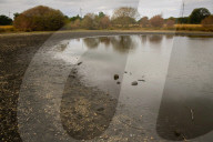 Wimbledon Common by Rushmere Pond, London, Great Britain 19th August 2022