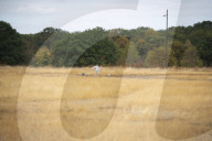 Wimbledon Common by Rushmere Pond, London, Great Britain 19th August 2022