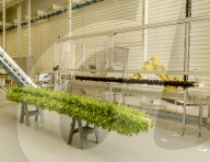 Are indoor vertical farms really 'future-proofing agriculture'?