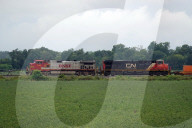 REPORTAGE - Mississippi Delta