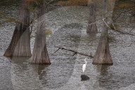 REPORTAGE - Mississippi Delta