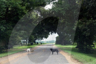 REPORTAGE - Mississippi Delta