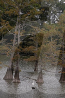 REPORTAGE - Mississippi Delta