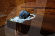 REPORTAGE - Tempel von Luxor und das einzigartige Tal der Könige