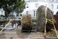 Billionaire closes main road in South Kensington for gardening work