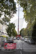 Billionaire closes main road in South Kensington for gardening work