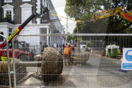 Billionaire closes main road in South Kensington for gardening work