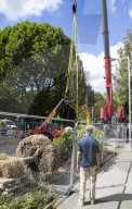 Billionaire closes main road in South Kensington for gardening work