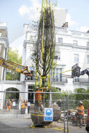 Billionaire closes main road in South Kensington for gardening work
