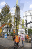 Billionaire closes main road in South Kensington for gardening work