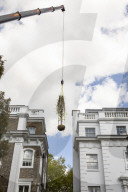 Billionaire closes main road in South Kensington for gardening work