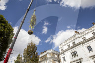 Billionaire closes main road in South Kensington for gardening work