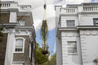 Billionaire closes main road in South Kensington for gardening work