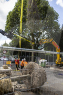 Billionaire closes main road in South Kensington for gardening work