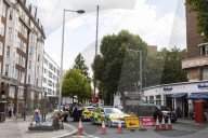 Billionaire closes main road in South Kensington for gardening work