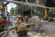 Billionaire closes main road in South Kensington for gardening work