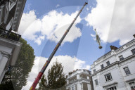 Billionaire closes main road in South Kensington for gardening work