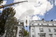 Billionaire closes main road in South Kensington for gardening work