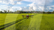 NEWS - Drohnen im landwirtschaftlichen Einsatz im thailändischen Roi Et