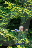 Parks at risk: ‘If it was not for the volunteers, we would struggle’