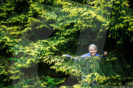 Parks at risk: ‘If it was not for the volunteers, we would struggle’