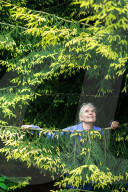 Parks at risk: ‘If it was not for the volunteers, we would struggle’